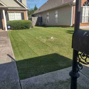 Bush Trimming by Myles And Son’s reviewed on August 15, 2025