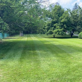 landscaping by Burmuda landscaping reviewed on November 20, 2025