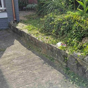 Bush Trimming by Seasonal Shine reviewed on November 20, 2025