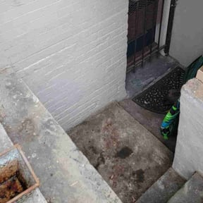 Leaf Removal by LaPriest Blocker reviewed on December 29, 2025