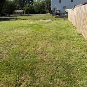 Leaf Removal by Sharp Edge Landscape reviewed on July 9, 2026