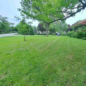 landscape maintenance by Thatsmydadlawncarellc reviewed on August 19, 2025