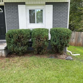 Bush Trimming by Brisco Property Management reviewed on July 15, 2023