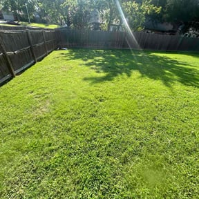 lawn care services by David Peters reviewed on May 2, 2024