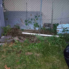 Flower Bed Weeding by Daniel Daniel Lawn care plus reviewed on July 1, 2026
