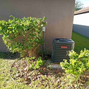 Bush Trimming by A&B lawn Service reviewed on August 15, 2025