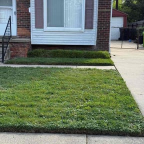 Bush Trimming by Moe Lawns LLC reviewed on October 23, 2025