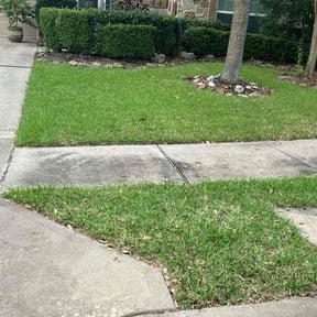 gardening service by Anival landscaping reviewed on August 16, 2025
