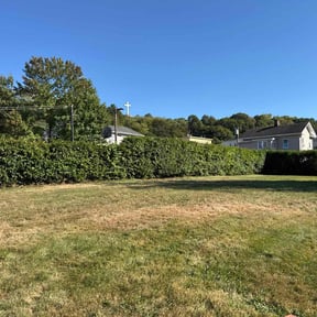 Bush Trimming by Hamilton Great mowing reviewed on October 24, 2025