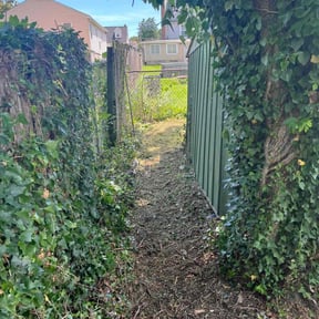 Bush Trimming by Ines lawnscaping reviewed on August 20, 2025