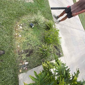 Flower Bed Weeding by Ultimate Landscape Contractor reviewed on August 14, 2026