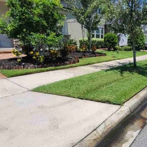 yard work by David W Services LLC reviewed on October 21, 2025