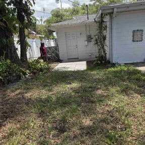 Leaf Removal by SLD Affordable Lawn and Contracting Services reviewed on July 17, 2026