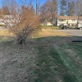 Flower Bed Weeding by Verdoorn Lawn Services reviewed on November 22, 2025