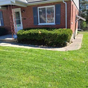 Bush Trimming by MBP conttractors llc reviewed on April 8, 2026