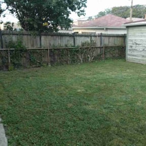 Bush Trimming by Positive Landscaping reviewed on October 22, 2025