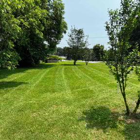 lawn care by Gonzales Lawncare reviewed on August 16, 2025