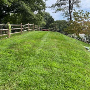 gardening service by EV Great Valley Landscaping,LLC. reviewed on November 24, 2025