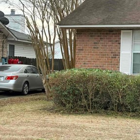 Bush Trimming by Kinge lawn care and more llc. reviewed on February 3, 2026