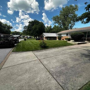 Bush Trimming by CB LANDSCAPING reviewed on August 20, 2025