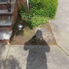 Flower Bed Weeding by P&amp;D Landscaping reviewed on October 19, 2026