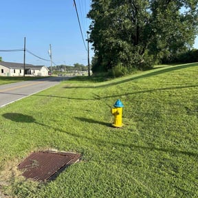 landscaping services by Uno Drywall and Painting Services ,LLC dba Franklin McCarter reviewed on May 13, 2024