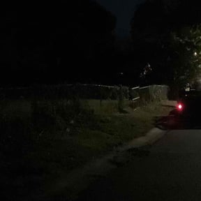 Bush Trimming by Dave's handyman services reviewed on May 3, 2024