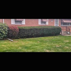 Bush Trimming by J.C. Lawn Service reviewed on October 30, 2022