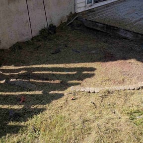 grass cutting by Shawn Hussey Lawns reviewed on April 3, 2025