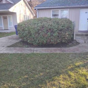 Bush Trimming by R3 Yard and Home Maintenance reviewed on October 22, 2025