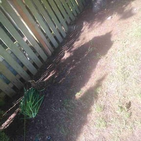 Leaf Removal by JJ Legacy lawns &amp; landscaping reviewed on April 27, 2026