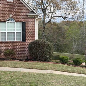 Bush Trimming by Adrian The Lawn Guy reviewed on April 1, 2026