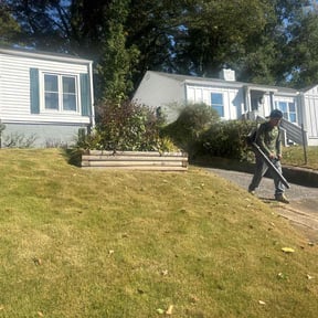 Bush Trimming by JD Lawn care and property maintenance reviewed on October 24, 2025