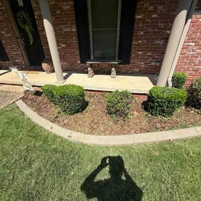 Bush Trimming by Landyns Lawncare reviewed on June 9, 2026