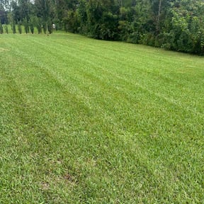 yard care by Ramon Moreno reviewed on July 17, 2025