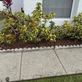 Flower Bed Weeding by CTRL SPC LLC reviewed on December 11, 2025