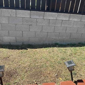 Flower Bed Weeding by Dirtyware Pressure Washing reviewed on June 5, 2026