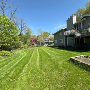 lawn service by Jeff Lawn Care reviewed on September 24, 2023