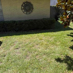 Bush Trimming by RH Lawn Care reviewed on August 2, 2026