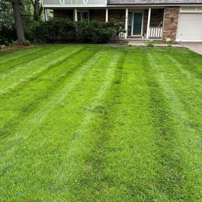 turf maintenance by Cl and Sons Lawn Mowing and Landscaping Services reviewed on February 13, 2024