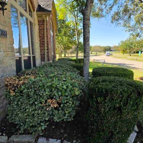 Bush Trimming by Marshalls Lawn Care reviewed on November 18, 2025
