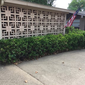 Bush Trimming by Bowes Lawn Care LLC reviewed on August 13, 2025