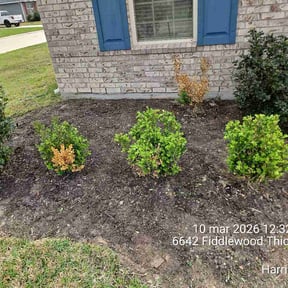Flower Bed Weeding by American Bey LLC reviewed on April 23, 2026