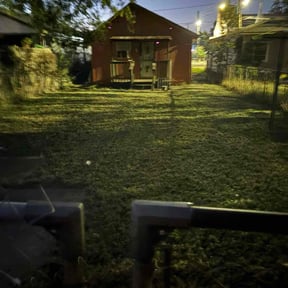 Bush Trimming by TOMS - Total Outdoor Maintenance reviewed on October 22, 2025