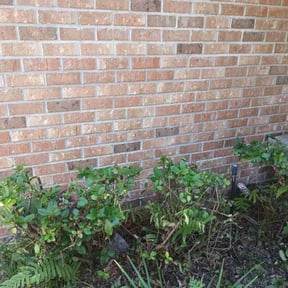 Bush Trimming by Upson Lawn Care reviewed on October 21, 2025