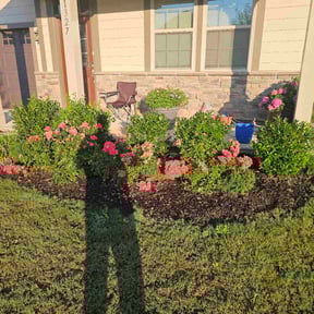 Flower Bed Weeding by My small dic reviewed on December 2, 2025