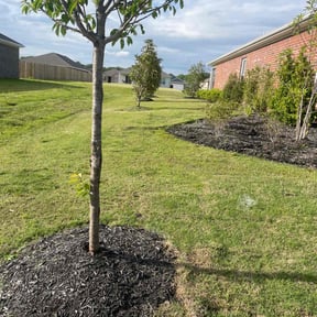turf maintenance by Marvin Wright reviewed on August 20, 2024