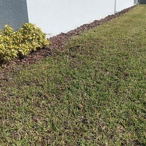 Flower Bed Weeding by Helping hands reviewed on November 20, 2025