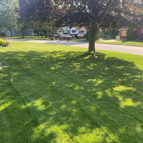 yard care by Perea Lawn &amp; Sprinkler Service reviewed on December 27, 2025