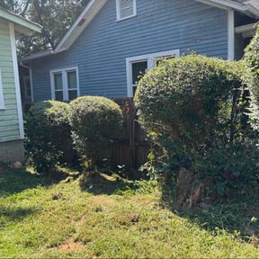 lawn maintenance by Gerringer Lawn Care reviewed on December 29, 2023